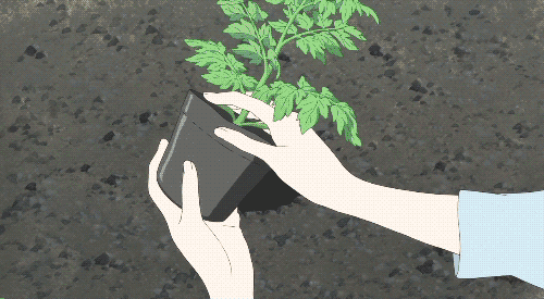 缩略图 | 【种菜攻略】如何选择适合种花种菜的花园土