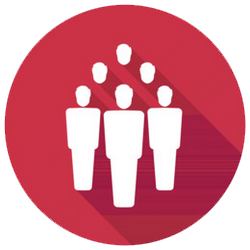 宠物专栏 | 宠物 | 渥太华微生活