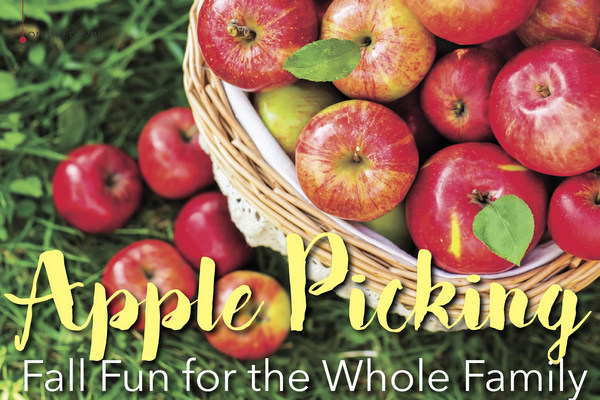 applepicking.jpg