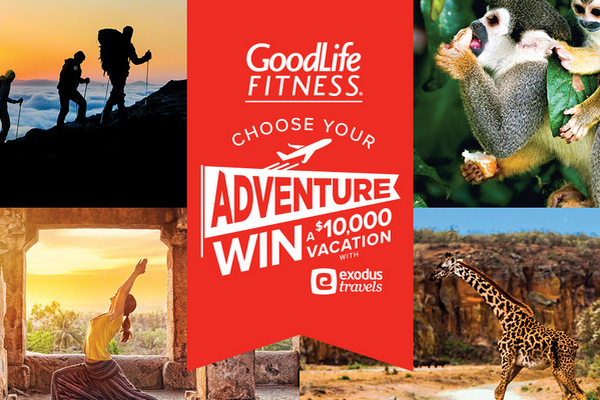 1530361438882317.jpg 1530297460695389.jpg