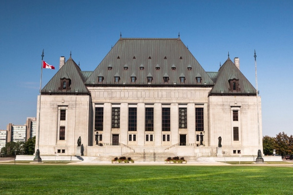 1530361130701085.jpg image.jpg