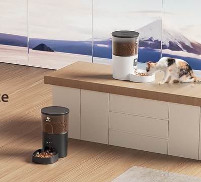 史低价！IMIPAW  3L自动猫喂食器 39.99加元（原价 49.99加元 ）