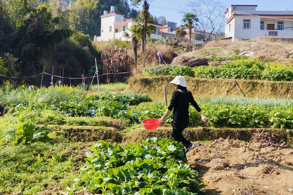 缩略图 | 回国生活：在国内过年的人情花销