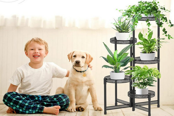 缩略图 | 打5.5折！5层金属植物架：原价$63.99，现价$34.99