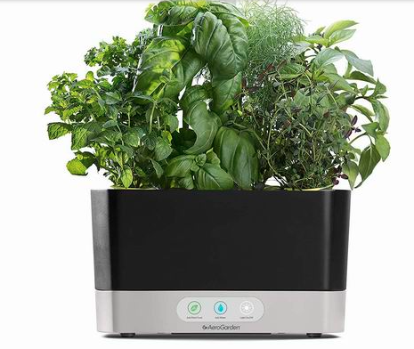 缩略图 | 2.8折买一个吧，冬天吃点健康绿叶菜！！高颜值 AeroGarden Harvest 室内小花园套49.99加元包邮！送种子！