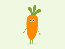缩略图 | 2024年渥太华🥕胡萝卜🥕节：采摘清洗储存胡萝卜，一起分享收获的乐趣！