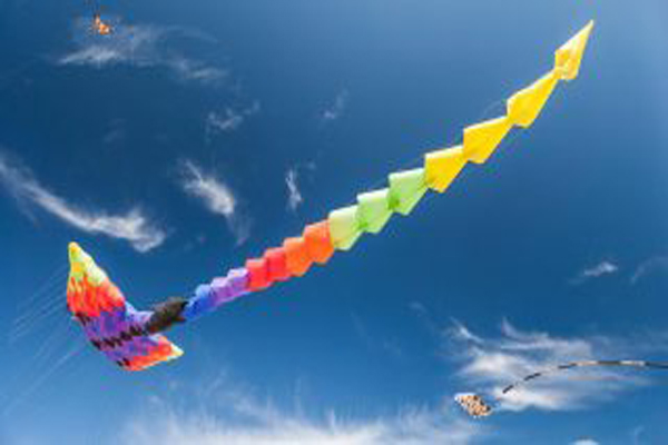 缩略图 | 渥太华风筝节，这个周末一起去放风筝吧，追忆童年，放飞心情！