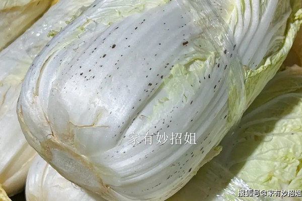 缩略图 | 大白菜上洗不掉的“黑点点”是什么？能吃吗？看完涨知识了！