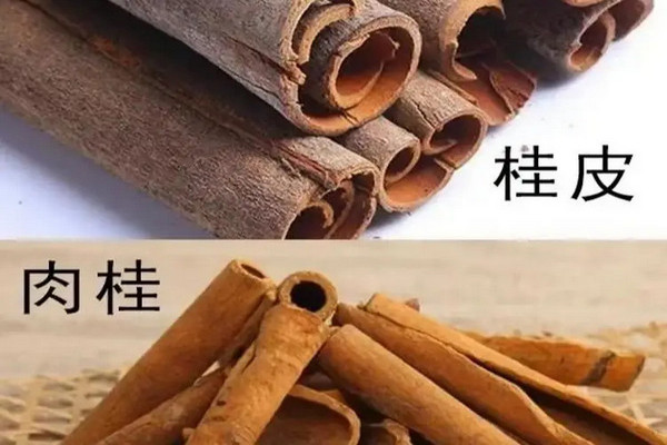 缩略图 | 肉桂和桂皮一字之差，不是去皮的区别，差别非常大，别再用错了！