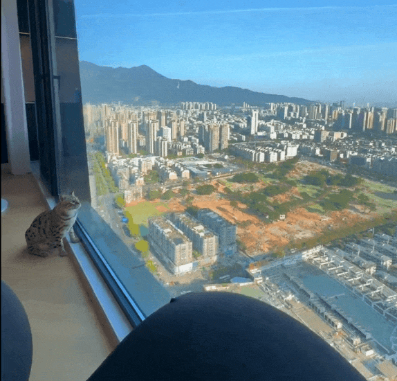 缩略图 | 有一种痛苦叫买了“超高层”，网友纷纷叫苦！