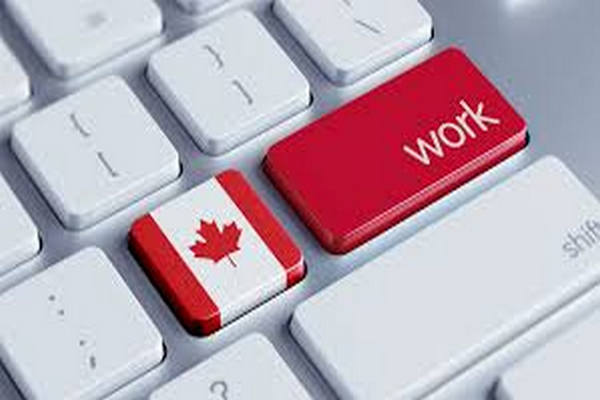 缩略图 | 渥太华社区移民服务帮助国际留学生就业，仅限12名，快快报名吧！