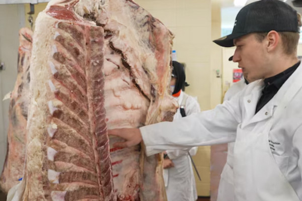 缩略图 | 加拿大这行业不愁失业还带薪培训，仍然难招愿意做的人！