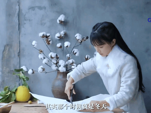 缩略图 | “李子柒”的双输闹剧背后，一个难得的文化输出IP就此毁掉？