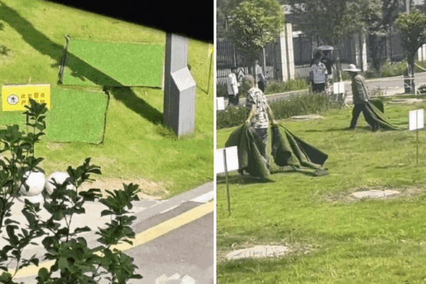 缩略图 | 重庆一大学生坠入化粪池身亡，分管副校长被免职！
