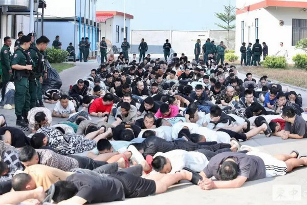 缩略图 | 柬埔寨清剿电诈园，抓捕超2000名外国人，多数为中国籍