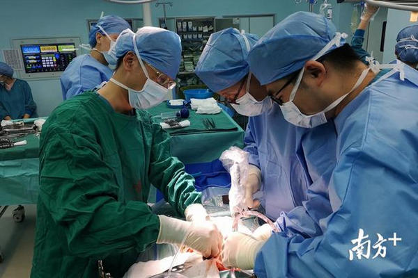 缩略图 | 全球首例！40岁女子吃木耳后中毒，医院帮她换了个肝！