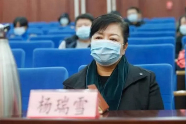 缩略图 | 加拿大中国女官员绑架儿童案：不是奶奶，竟是前妻！