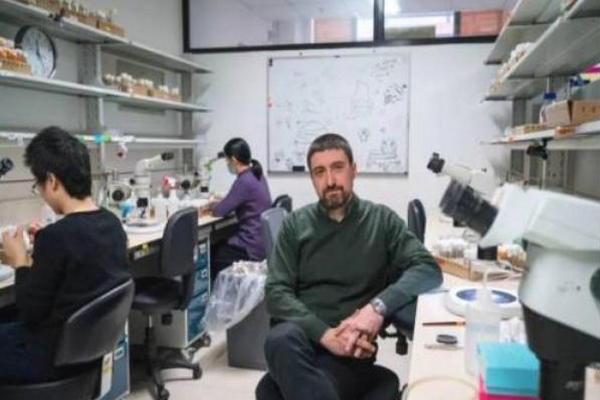 缩略图 | 美国落魄科学家，来到中国后大展拳脚