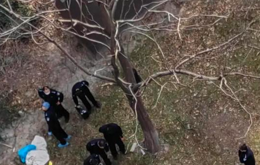 缩略图 | 【突发】上海一家三口坠楼身亡，事情起因令人震惊！
