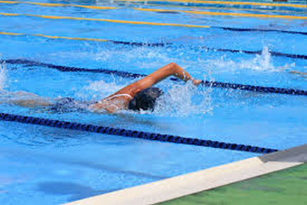 缩略图 | 渥太华华人游泳俱乐部暑期竞技集训班招生通知