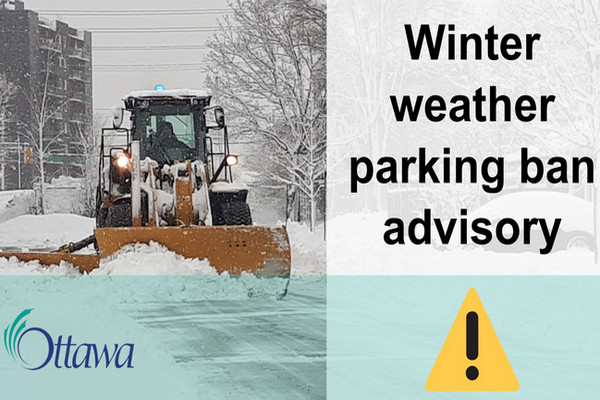 缩略图 | 罚款总额高达160万加元！渥太华冬季停车禁令期间，共开出超1.5万张停车罚单！