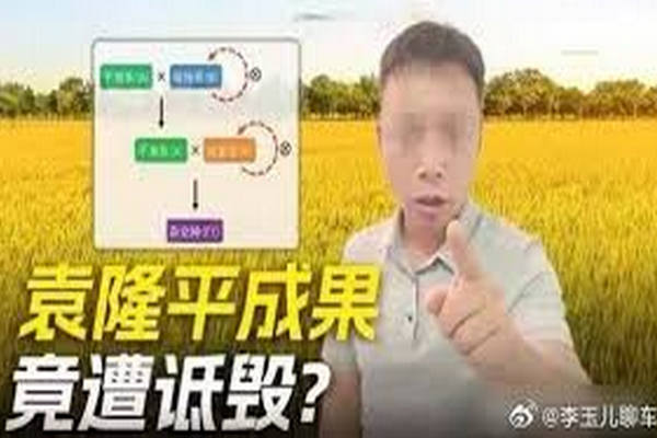 缩略图 | 200万粉丝网红恶意曲解袁隆平科研成果，被刑拘！
