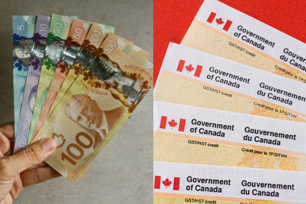缩略图 | 快检查一下！加拿大政府发20亿买菜补贴，至今400万人没领取！