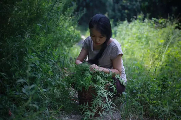 缩略图 | 90后姑娘成最“土”网红：用6万造个300平的家