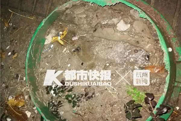 缩略图 | 痛心！杭州孕妇下车后坠井身亡，究竟是什么害死了她？