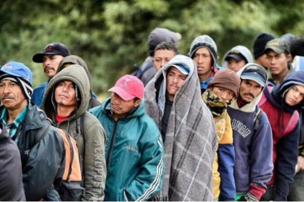 缩略图 | 第42条失效前，4月超20万非法移民涌进美国！