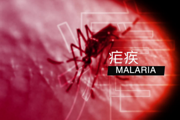 缩略图 | 屠呦呦团队“放大招”，青蒿素再立新功！