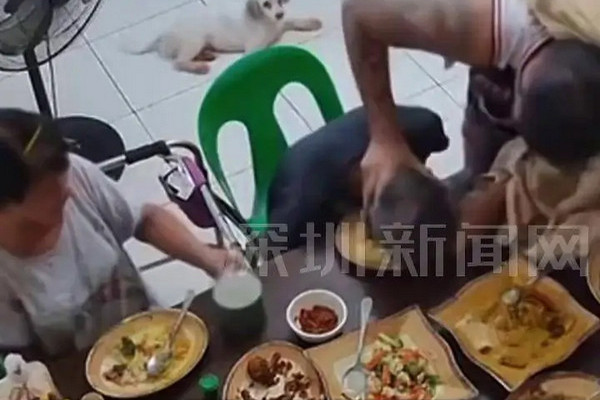 缩略图 | 一男子嫌父亲做饭难吃扬言“杀掉全家”，父亲趁其午睡砍儿子头部，被判刑二年！