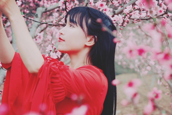缩略图 | 盘点2019年十大网络红人：李子柒、李佳琦、不倒翁小姐姐…