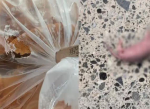 缩略图 | 恶心吐了！加拿大沃尔玛买的面包竟有这东西：打开包装袋被吓傻！