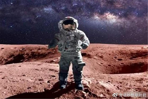 缩略图 | 宇航员太空生活6个月，身体发生变化，马斯克火星移民会实现吗？