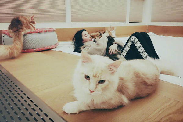 缩略图 | 太清纯！刘亦菲曝素颜照 蕾丝睡衣惹注目