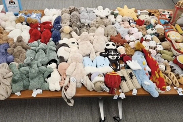 缩略图 | 颠覆认知！加拿大大妈不偷名牌，竟然狂偷上百只Jellycat！