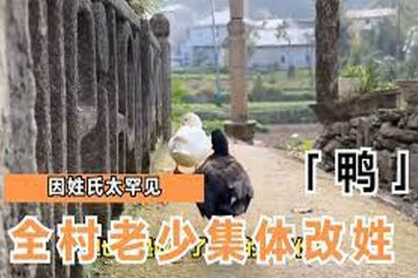 缩略图 | 因姓氏太罕见，全村集体改姓“鸭”引发热议！你听过最冷门的姓氏是什么？