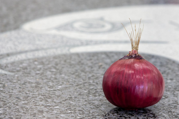 缩略图 | 美中情局分享一个加密链接 网友全炸锅了