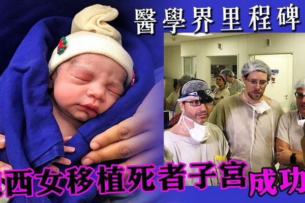 缩略图 | 世界首例！女子植入死者子宫后成功生育