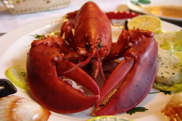 缩略图 | 加拿大 Red Lobster 被美国母公司列入破产保护申请