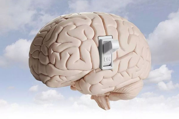 缩略图 | IQ210，世界上智商最高的那个孩子，现在怎样了