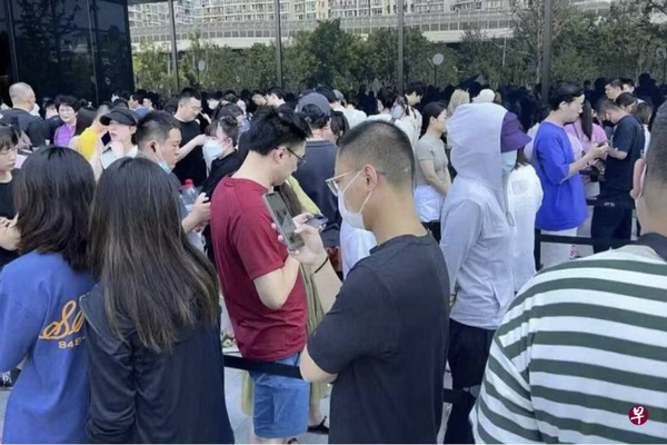 缩略图 | 加拿大鹅打五折引争抢，北京有市民排队长达四小时！