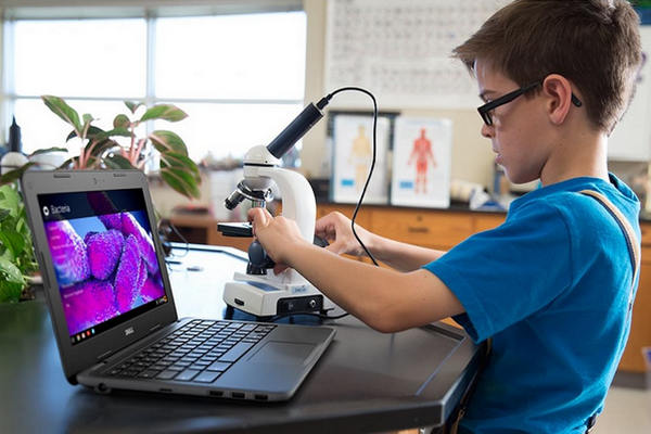 缩略图 | 4家美企巨头联名上书：反对特朗普将笔记本平板电脑列入对华征税商品