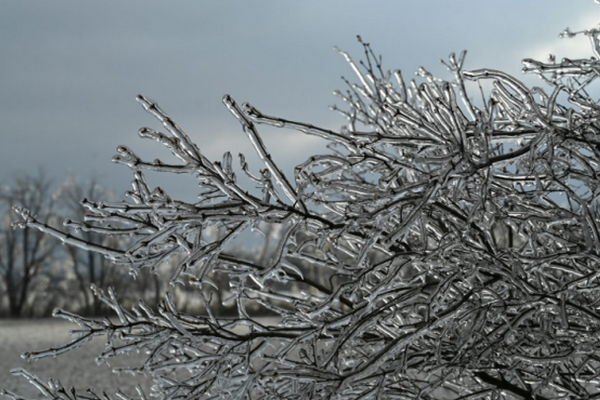 缩略图 | 严重冻雨警告！渥太华地区可能停电和交通中断！请居民提前做好准备！