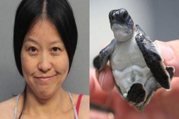 缩略图 | 中国女子在美国被捕！将判重刑或罚款？原因竟然是“骚扰”海龟！