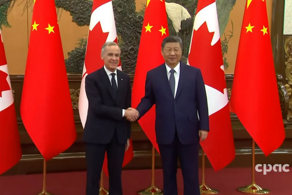 缩略图 | 【重磅】加拿大同意进口4.9万辆中国电动车，换取中国下调油菜籽关税！