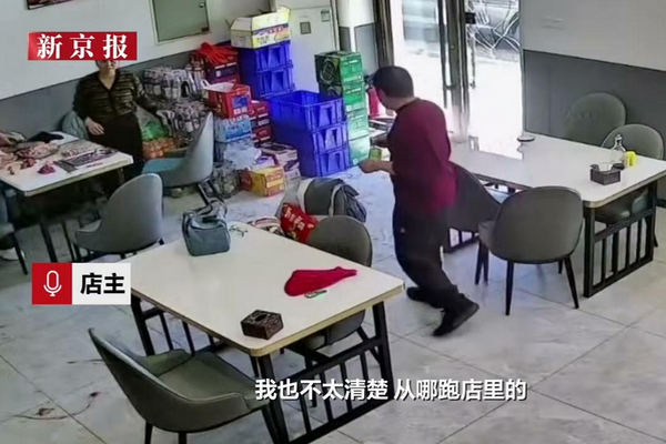 缩略图 | 【视频】野猪怒闯烧烤店，大哥淡定开门送客！