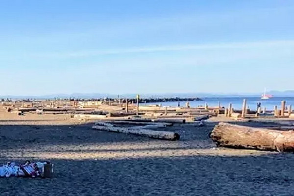 缩略图 | 天体海滩常客抗议：太多人只看不脱，市府举动更添乱！