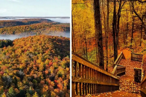 缩略图 | 别那么早退出赏枫大队！安省4个省立公园的枫叶正努刷存在感！